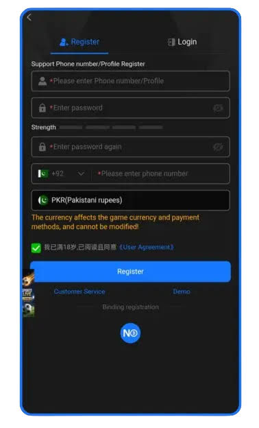 Login process